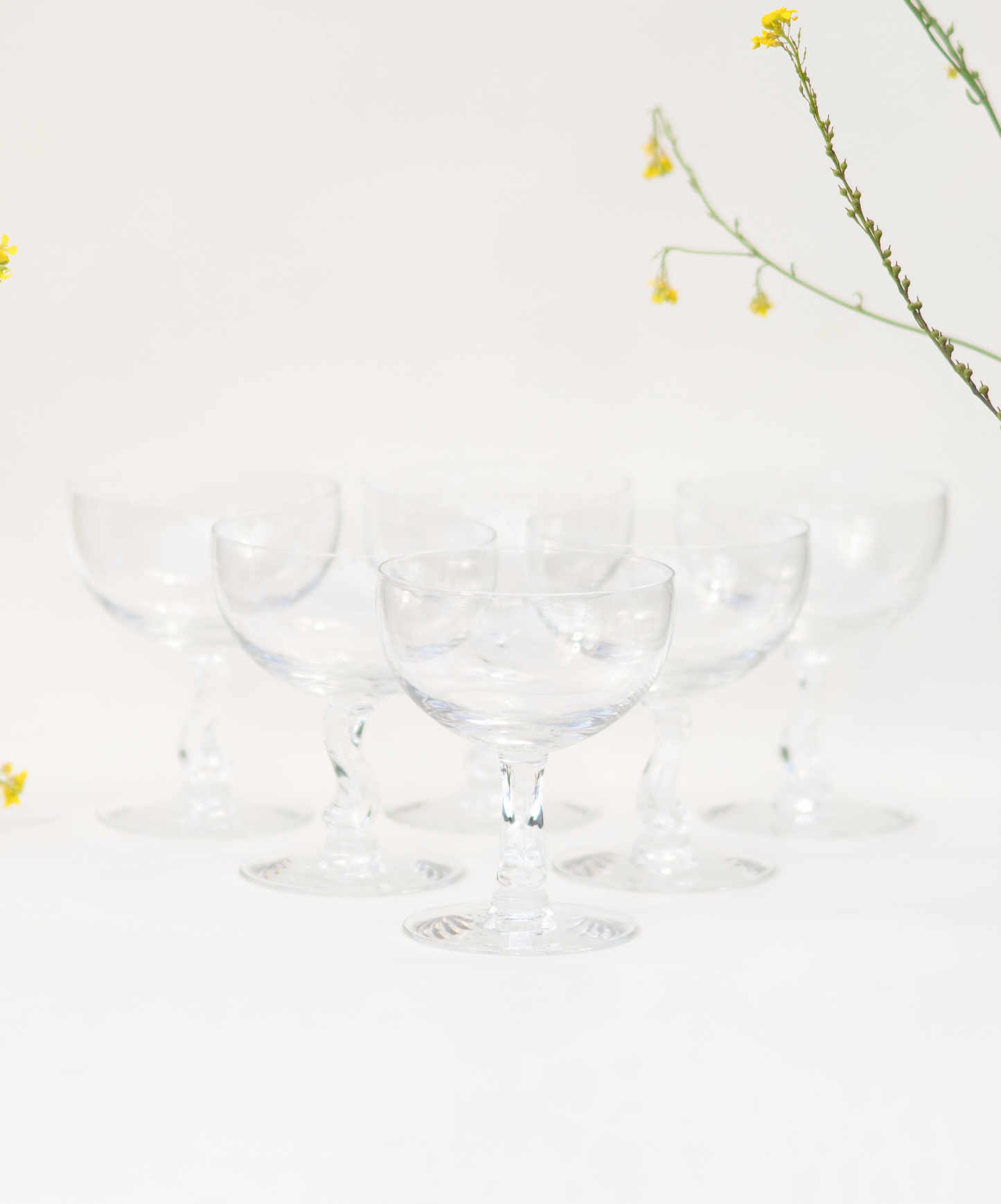 Contour Stem Champagne Coupes